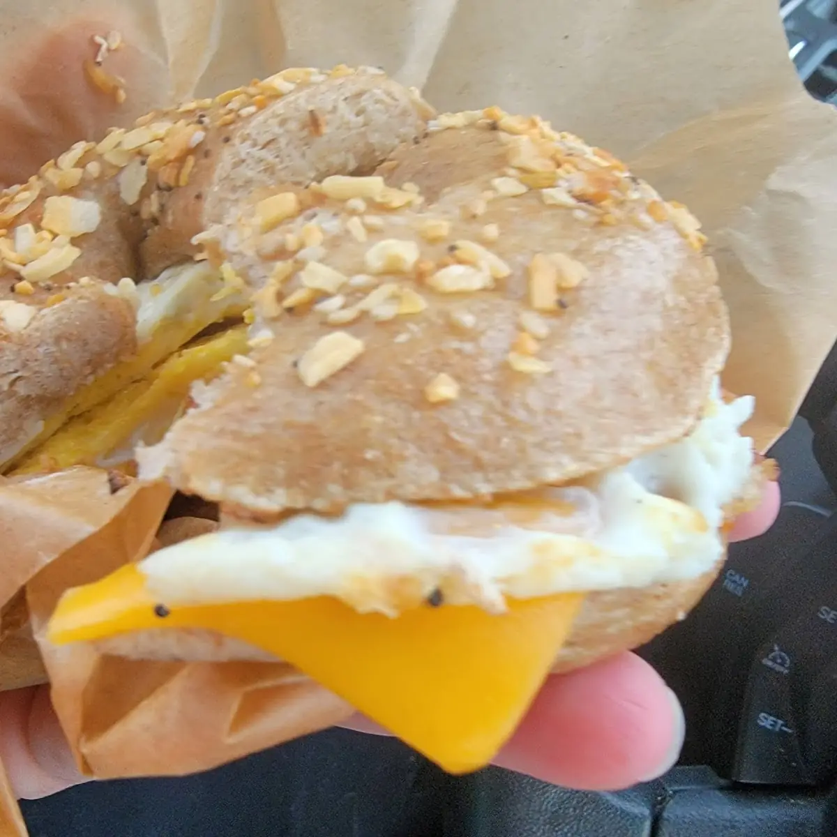 Everything Bagel Sandwich