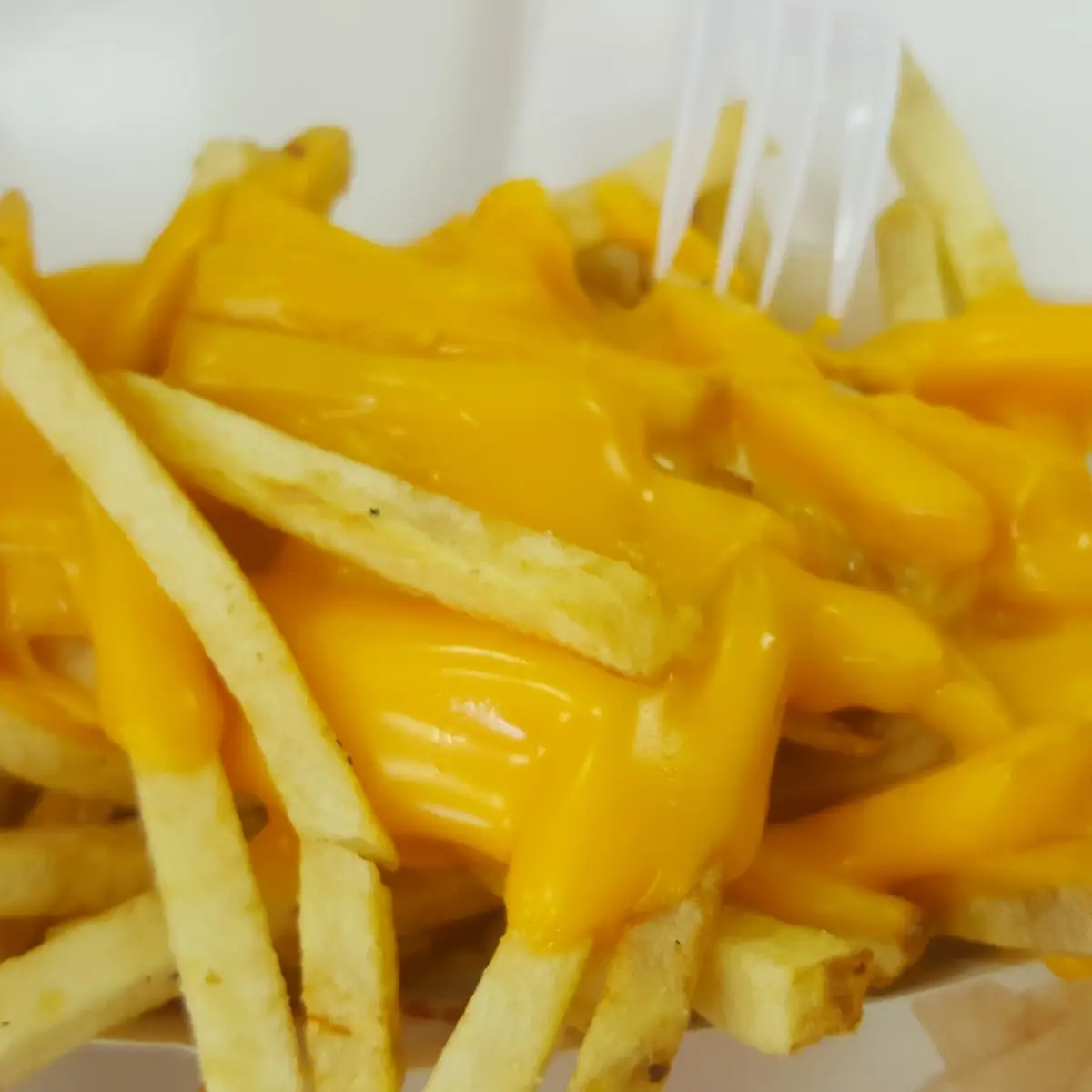 Cheese Fries