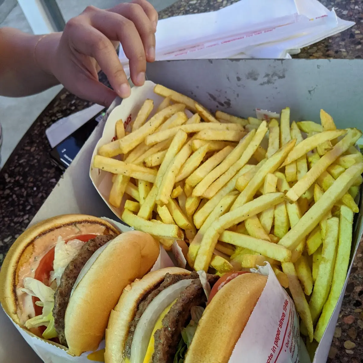Double Double Cheese Burger and Fries