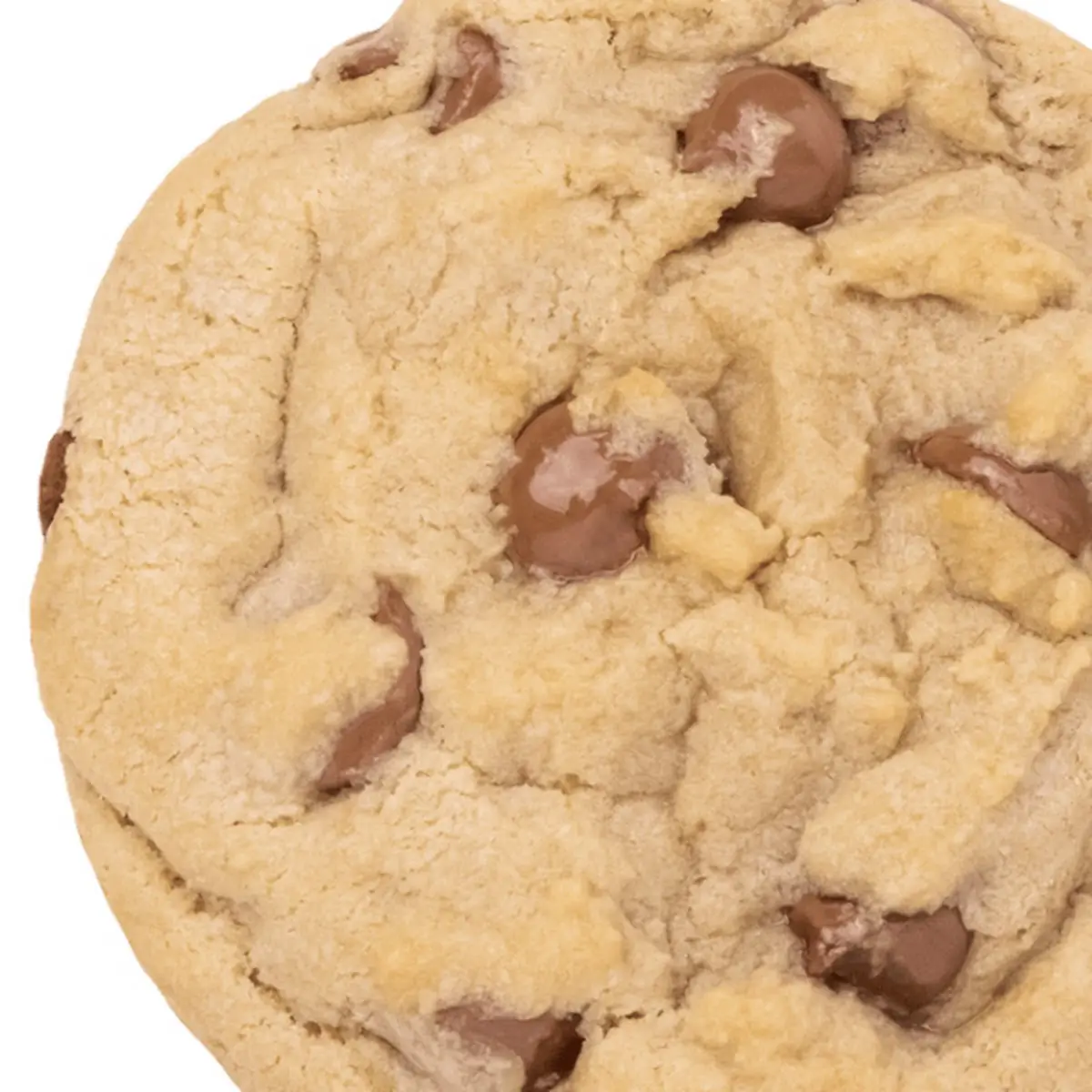 Chocolate Chip Cookie
