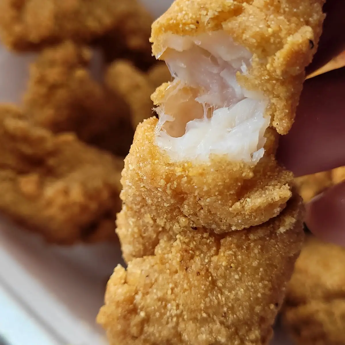 Basa Fried Fish