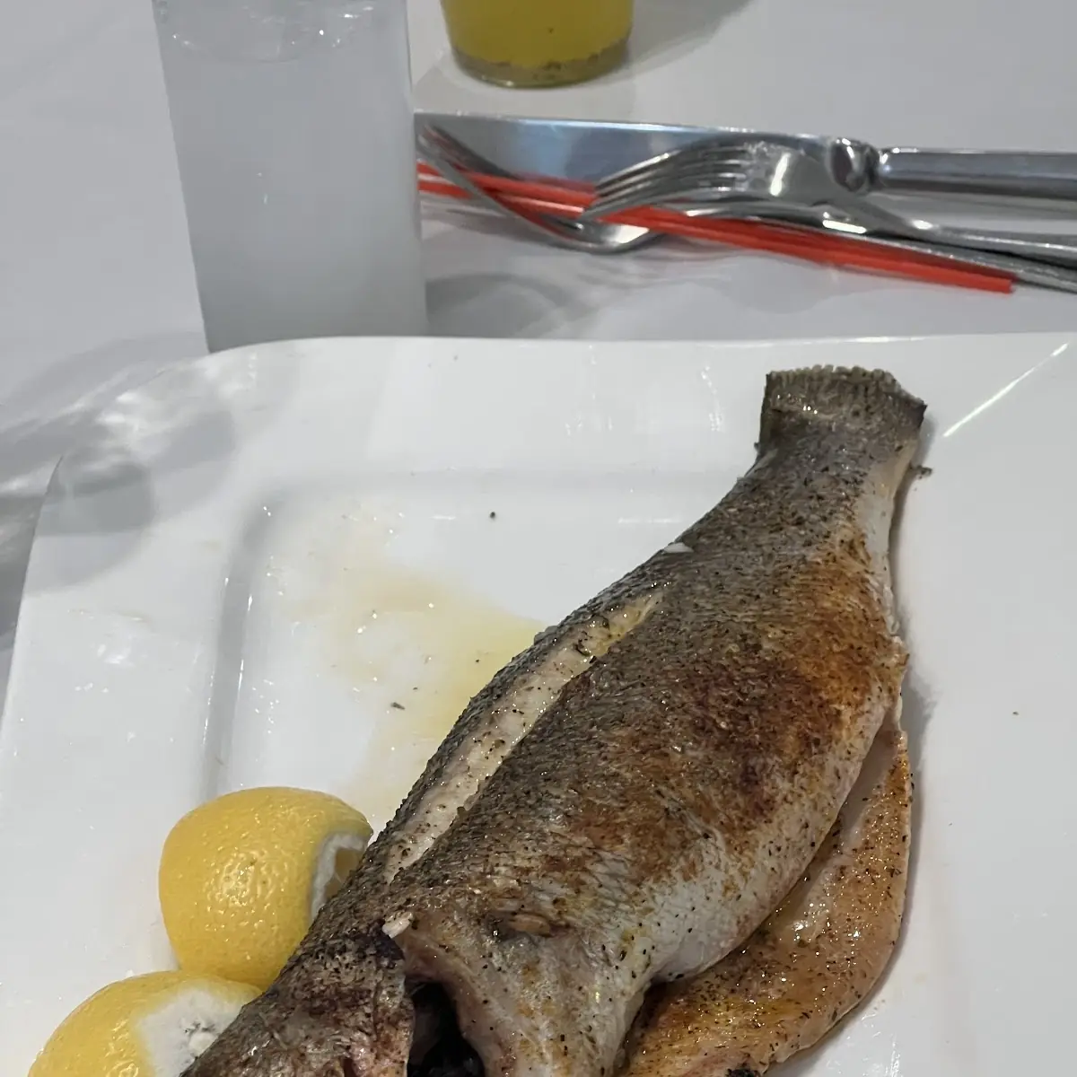 Sea Bass