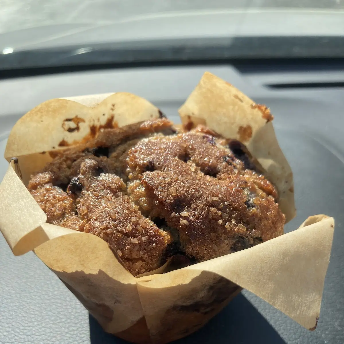 Blueberry Muffin