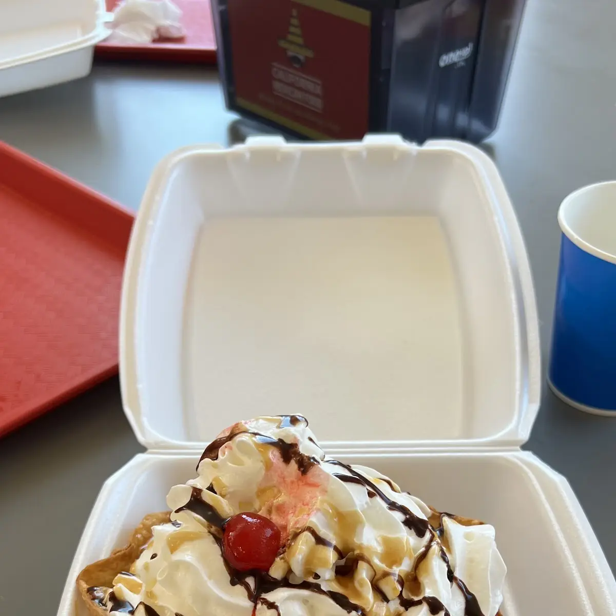 Deep Fried Ice Cream
