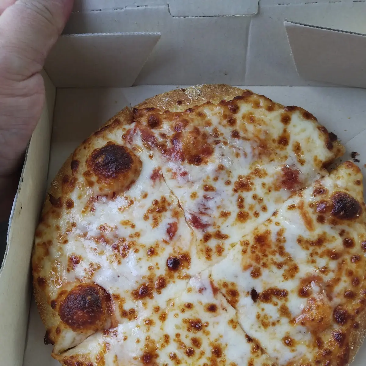 Cheese Pizza
