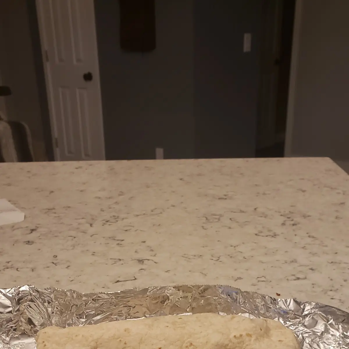 Carne Asada Burrito