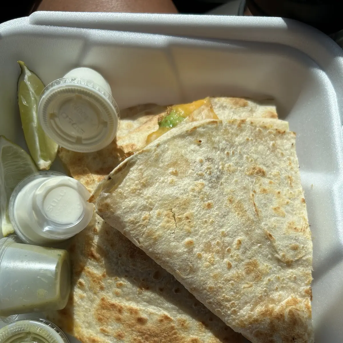 Carne Asada Quesadilla