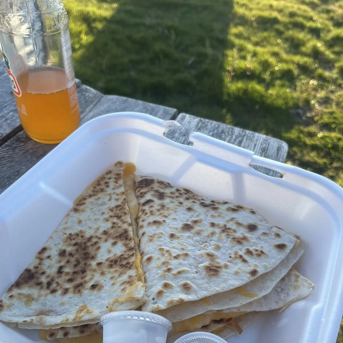 Cheese Quesadilla