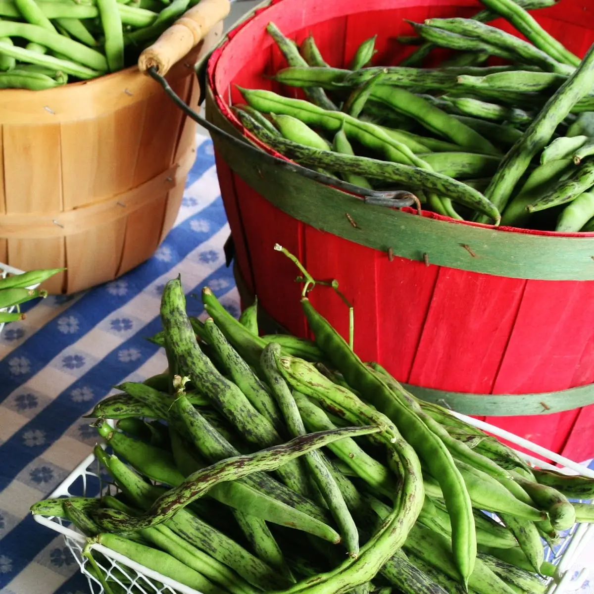 Green Beans
