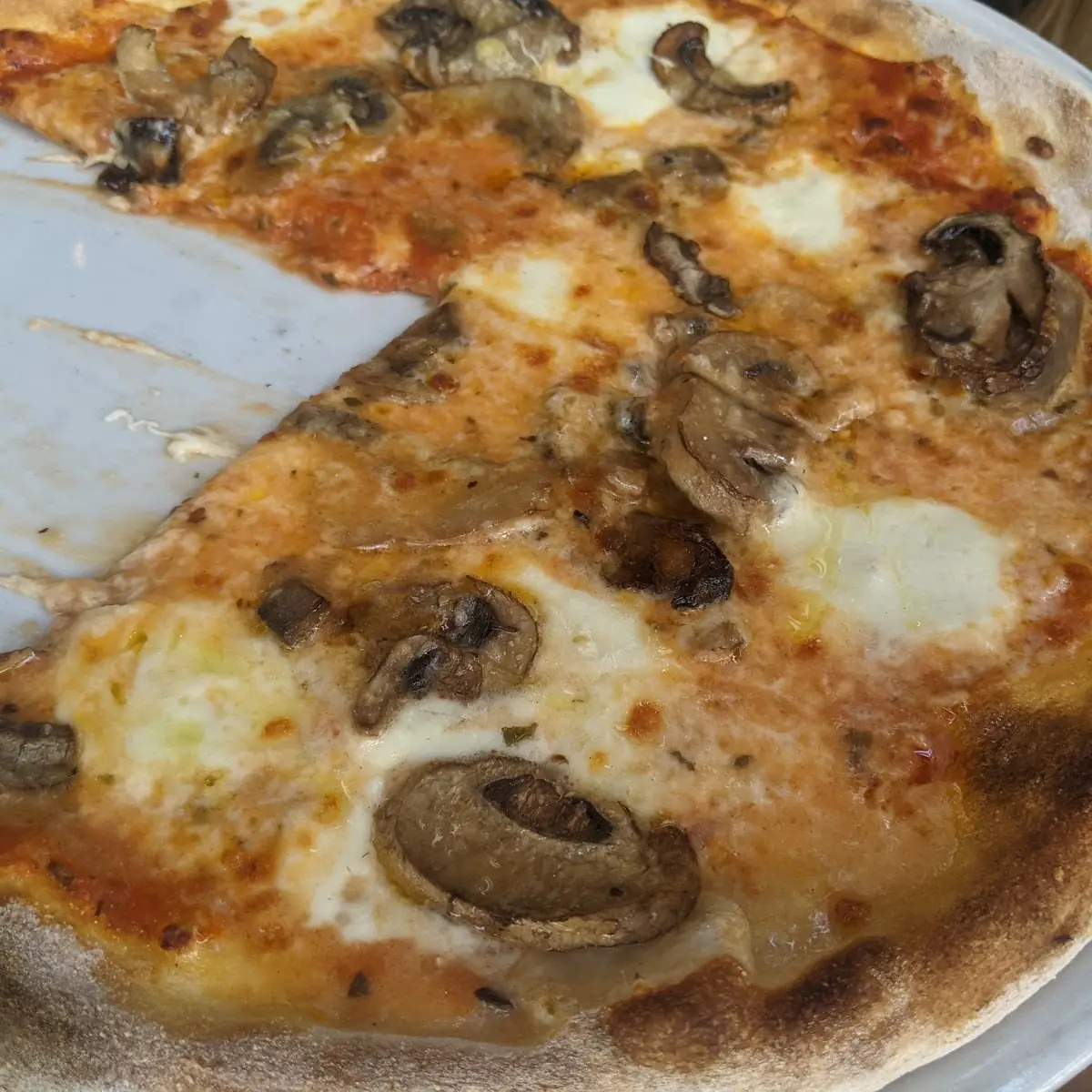 Pizza Funghi Misti W