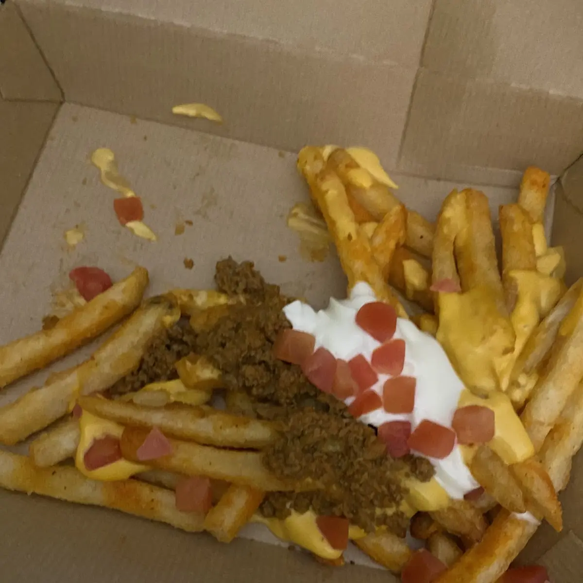 Large Nacho Fries