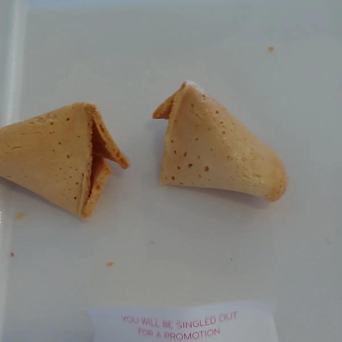 Fortune Cookie