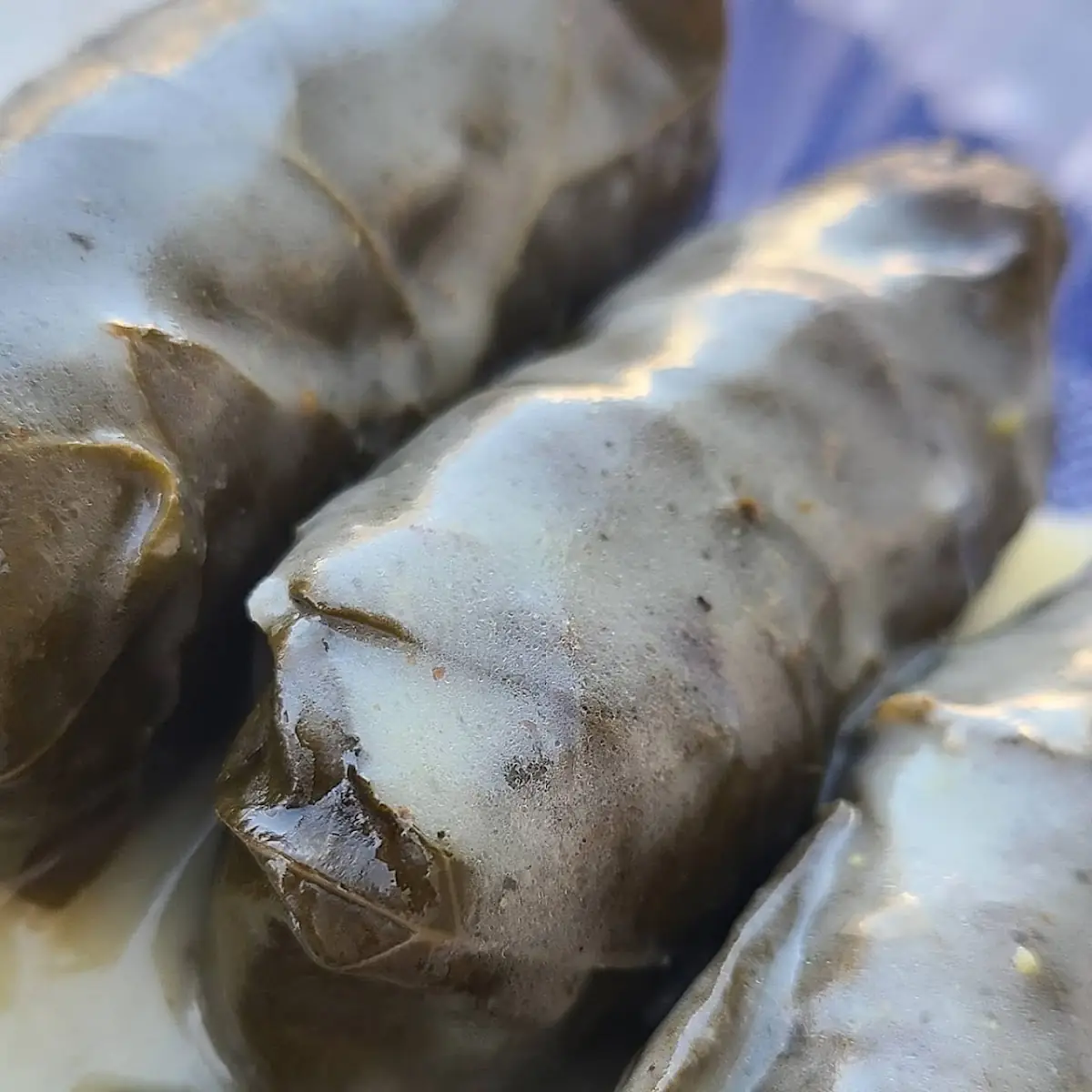 Dolmades Stuffed Vine Leaves