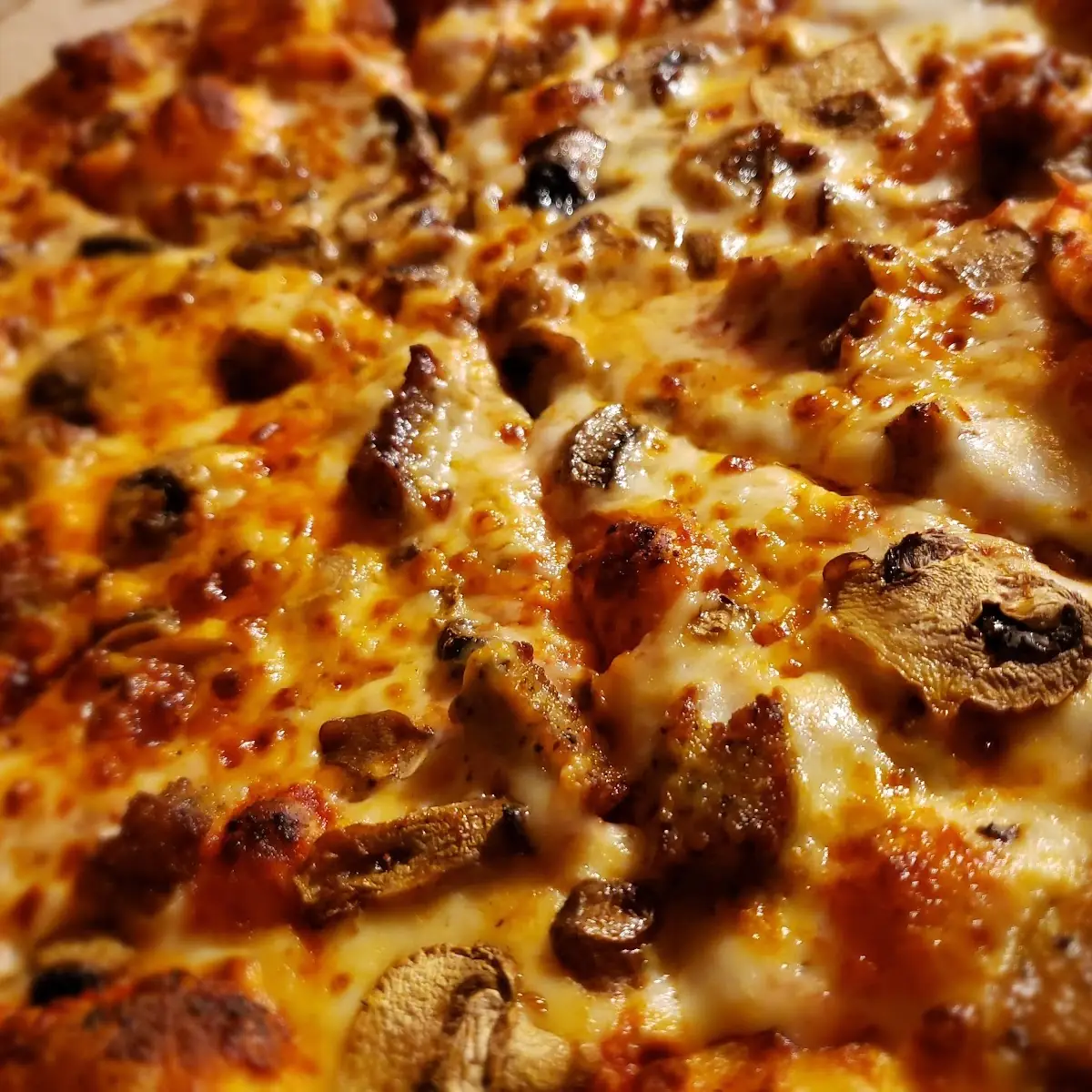 Mushroom Pizza
