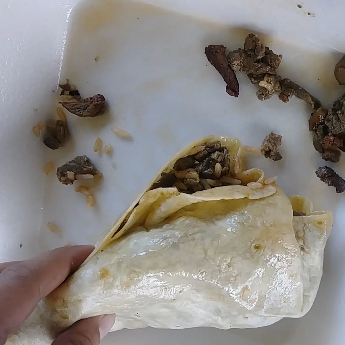 Breakfast Burrito