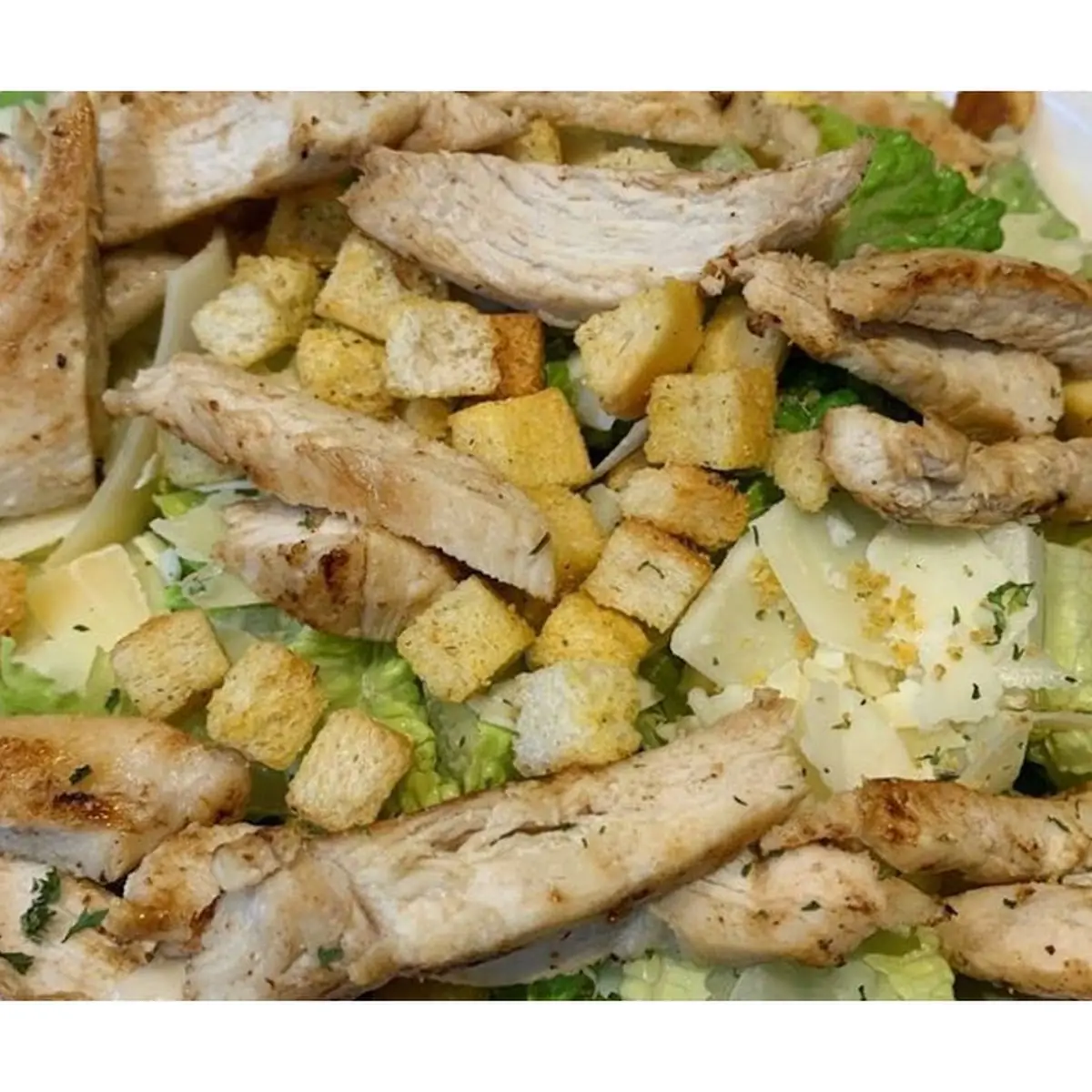 Grilled Chicken Caesar Salad