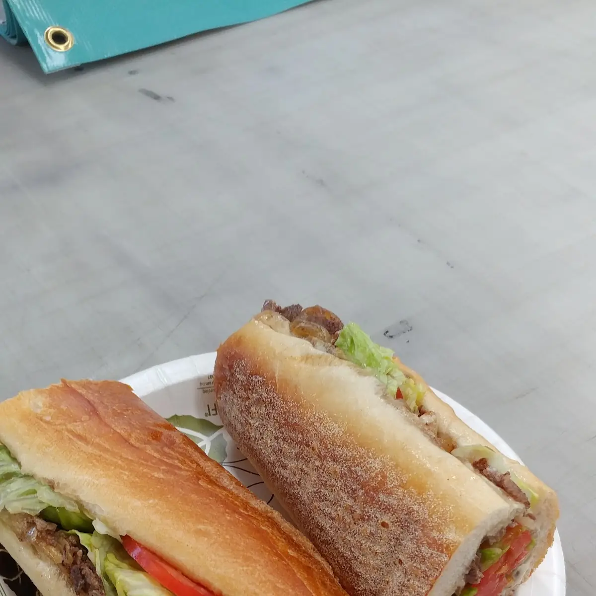 Cheese Steak with Onions LTM
