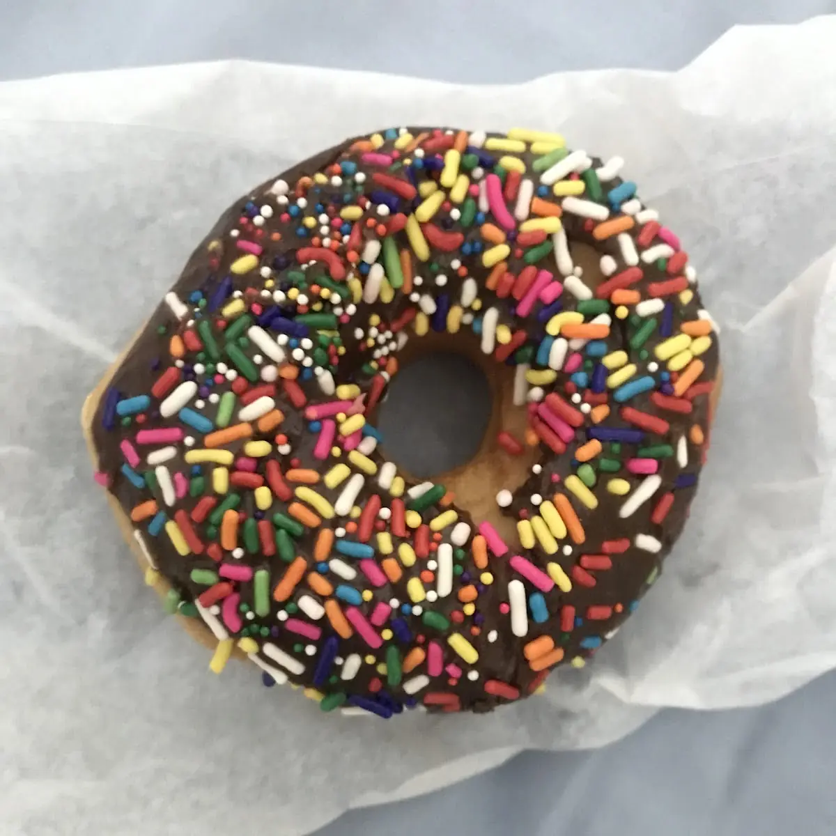 Doughnut