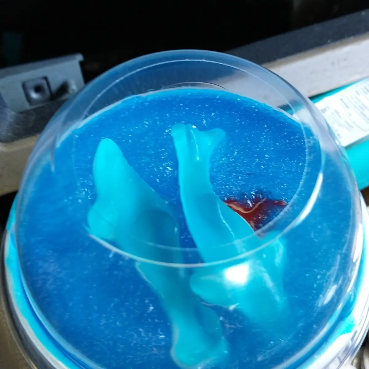 Shark Week Slush