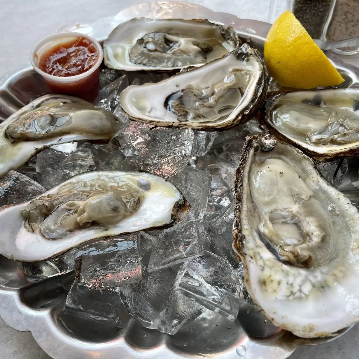 Fresh Oysters--1 2 Dozen