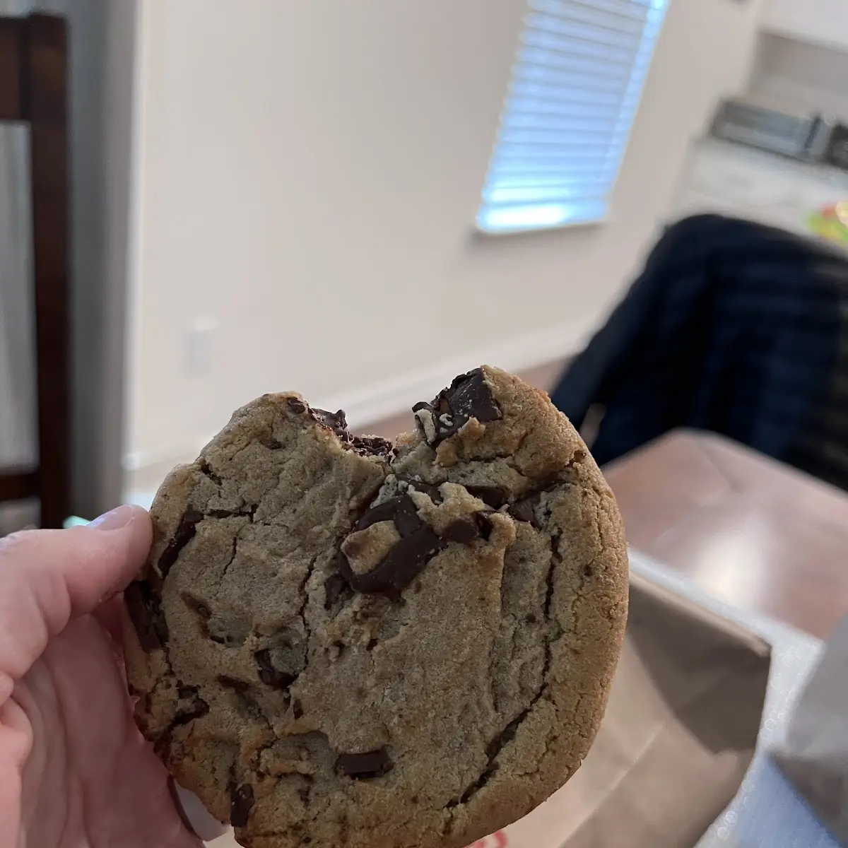 Chocolate Chip