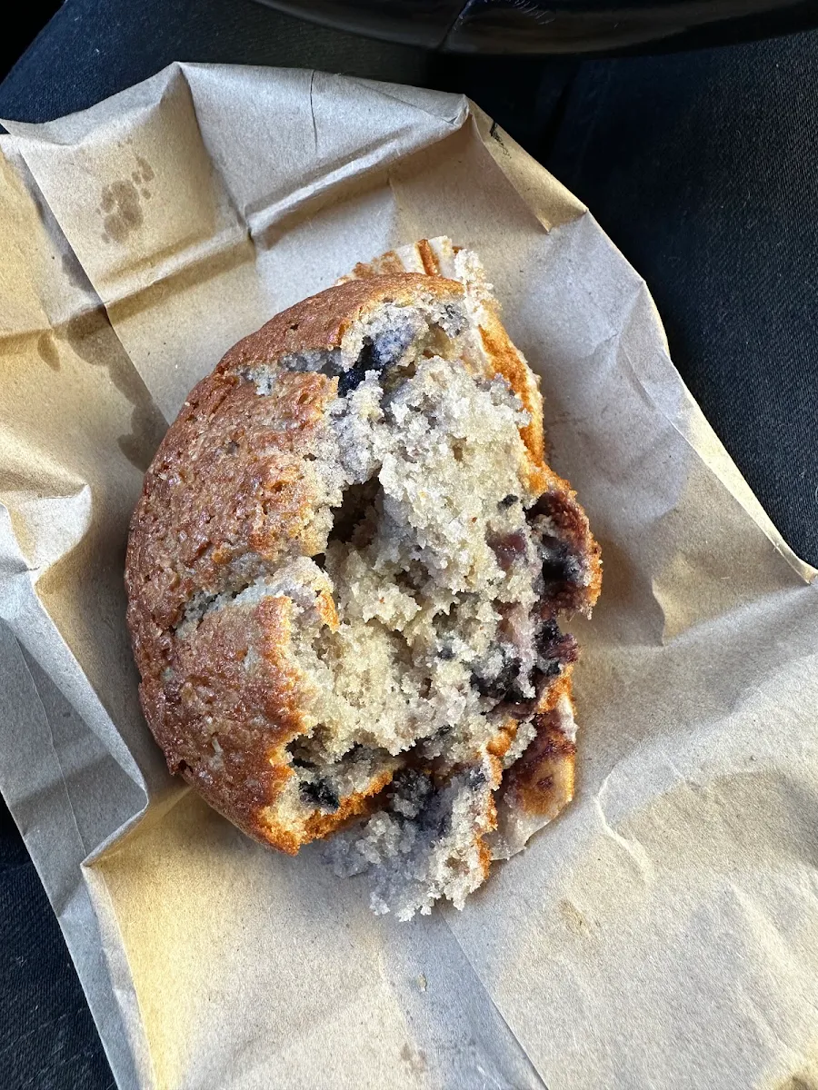 Blueberry Muffin