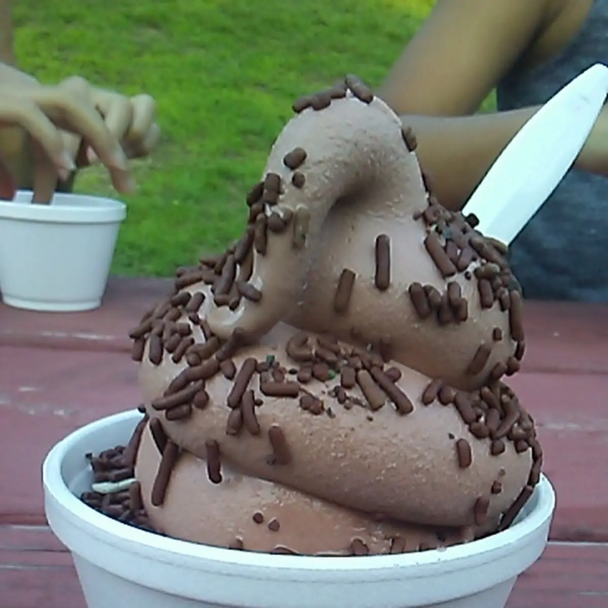 Soft Serve with Chocolate Sprinkles