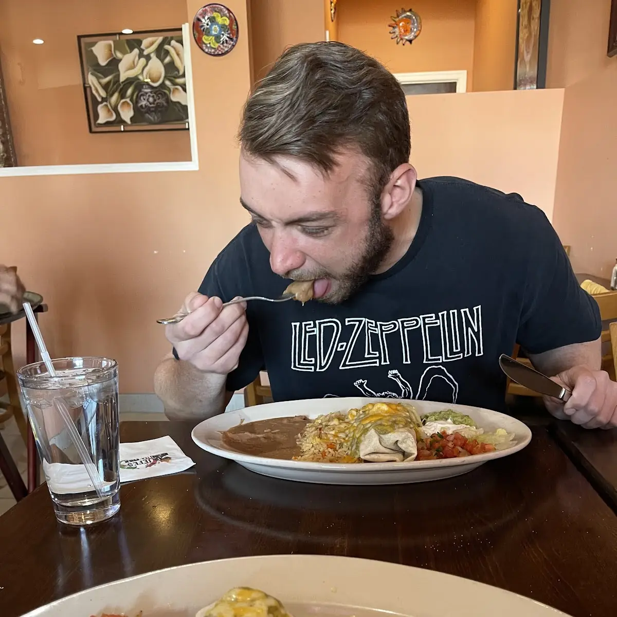 Mexican Flag Burrito