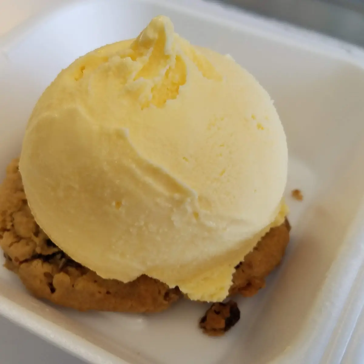 Oatmeal Raisin Cookie with Vanilla Ice Cream