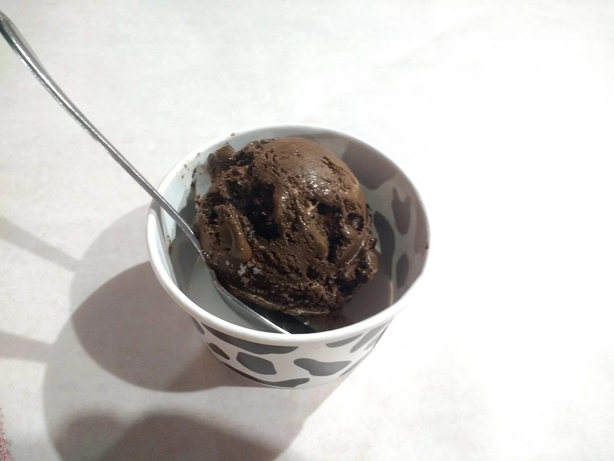 Chocolate Ice Cream