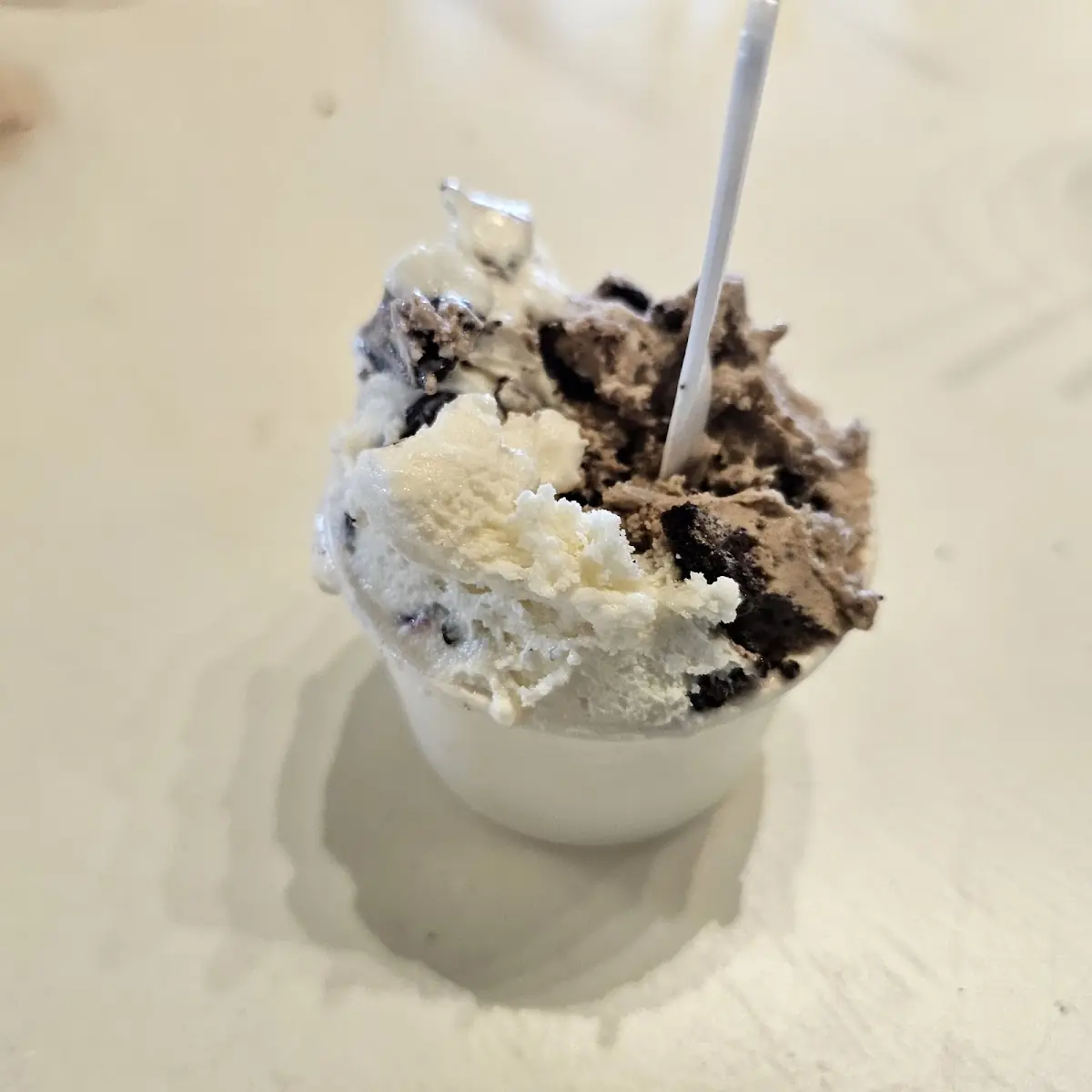 Peppermint and Chocolate Ice Cream