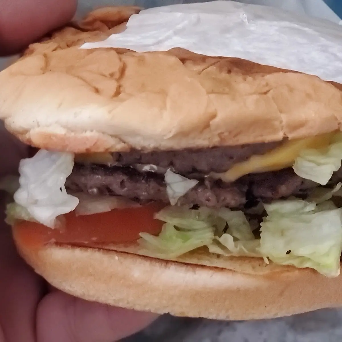 Double Cheeseburger