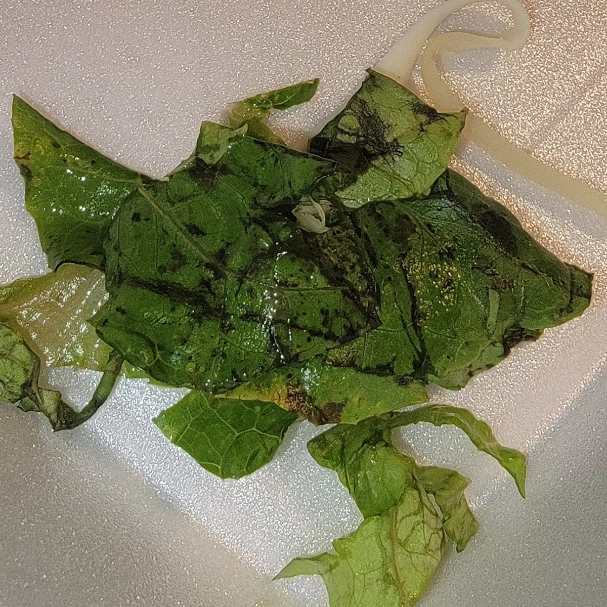 Chef Salad