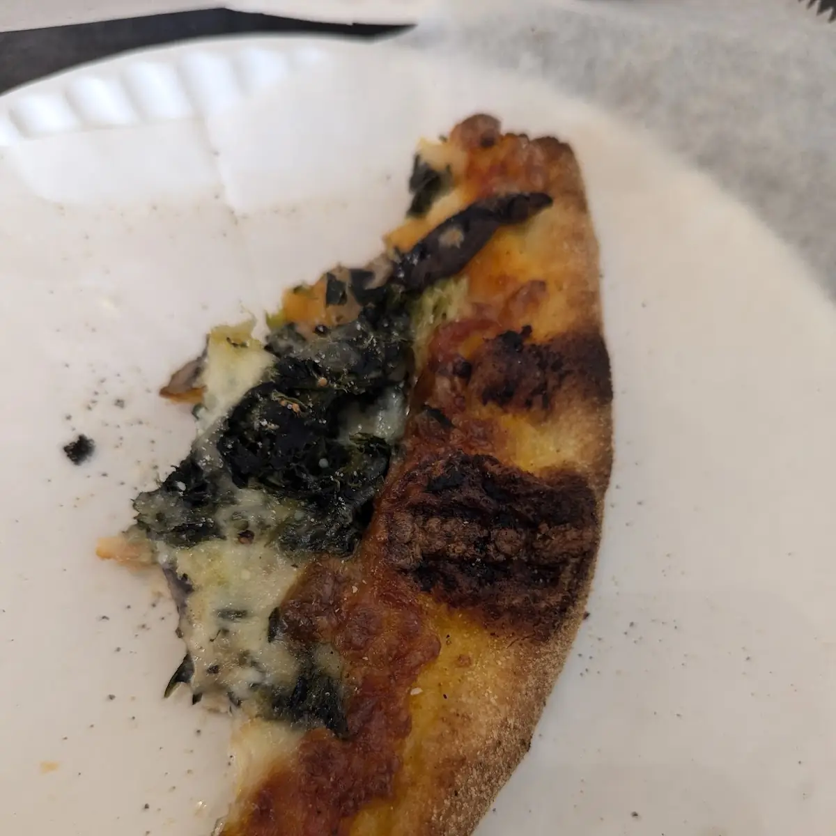 Pizza Crust