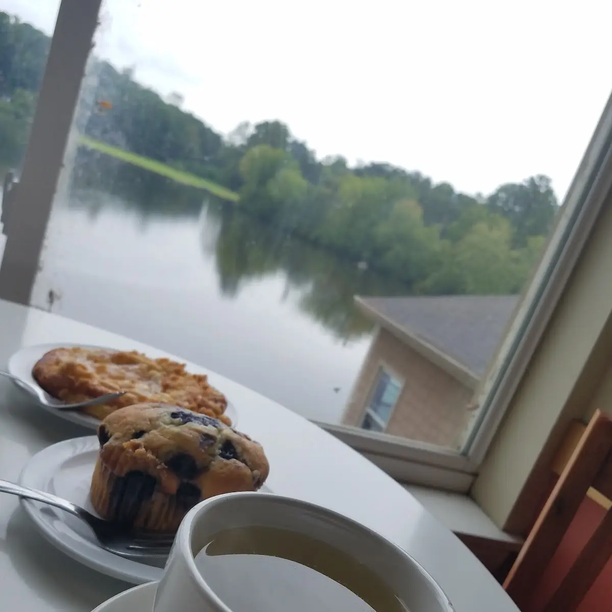 Blueberry Muffin