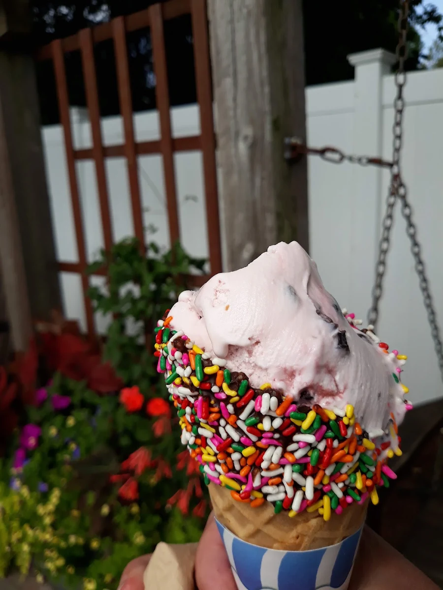 Black Cherry Ice Cream in a Waffle Cone