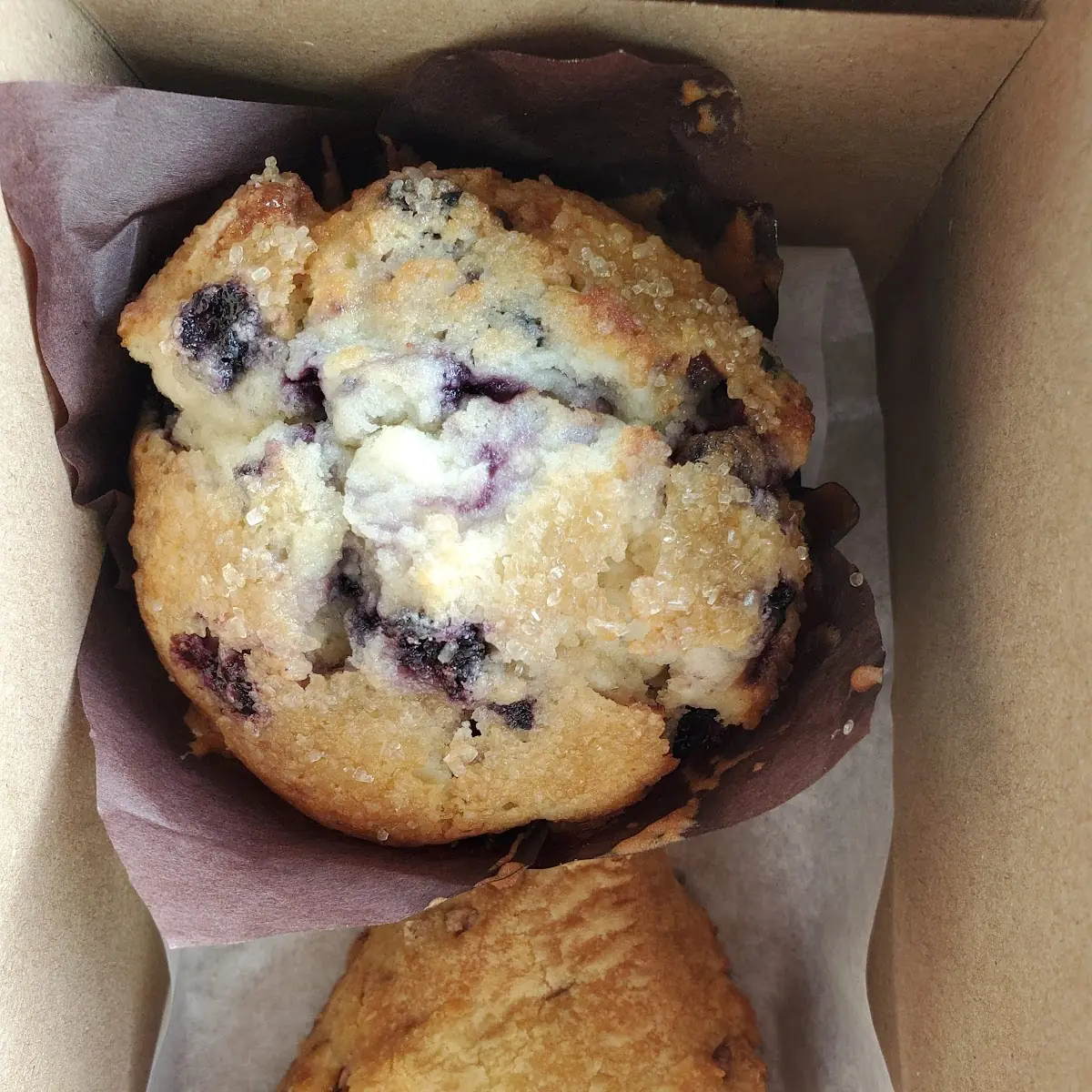 Blueberry Muffin and Apple Scone