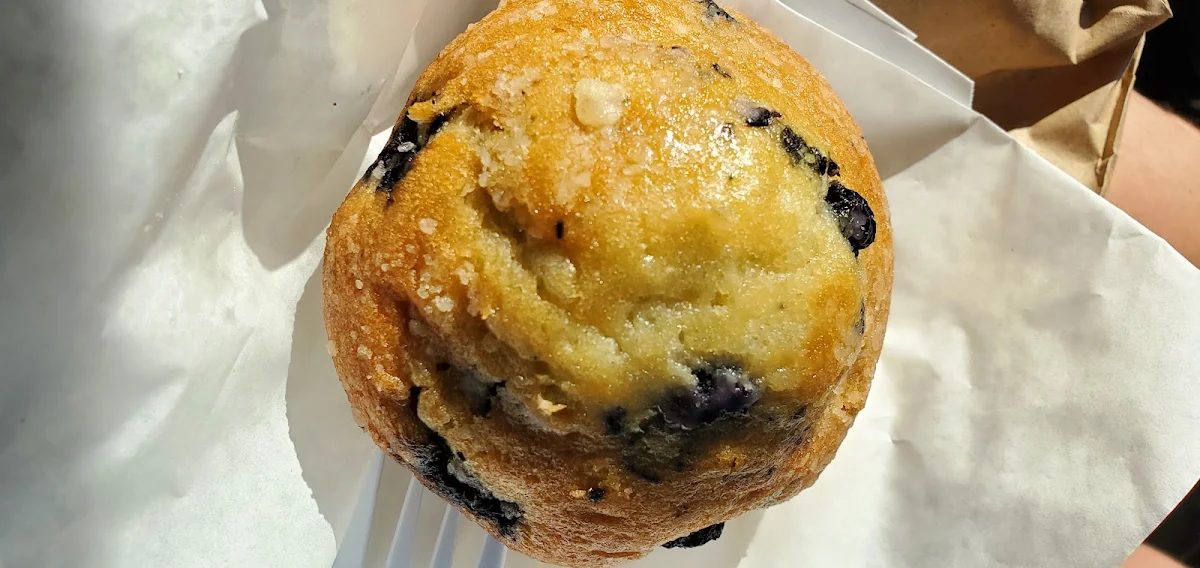 Blueberry Muffin