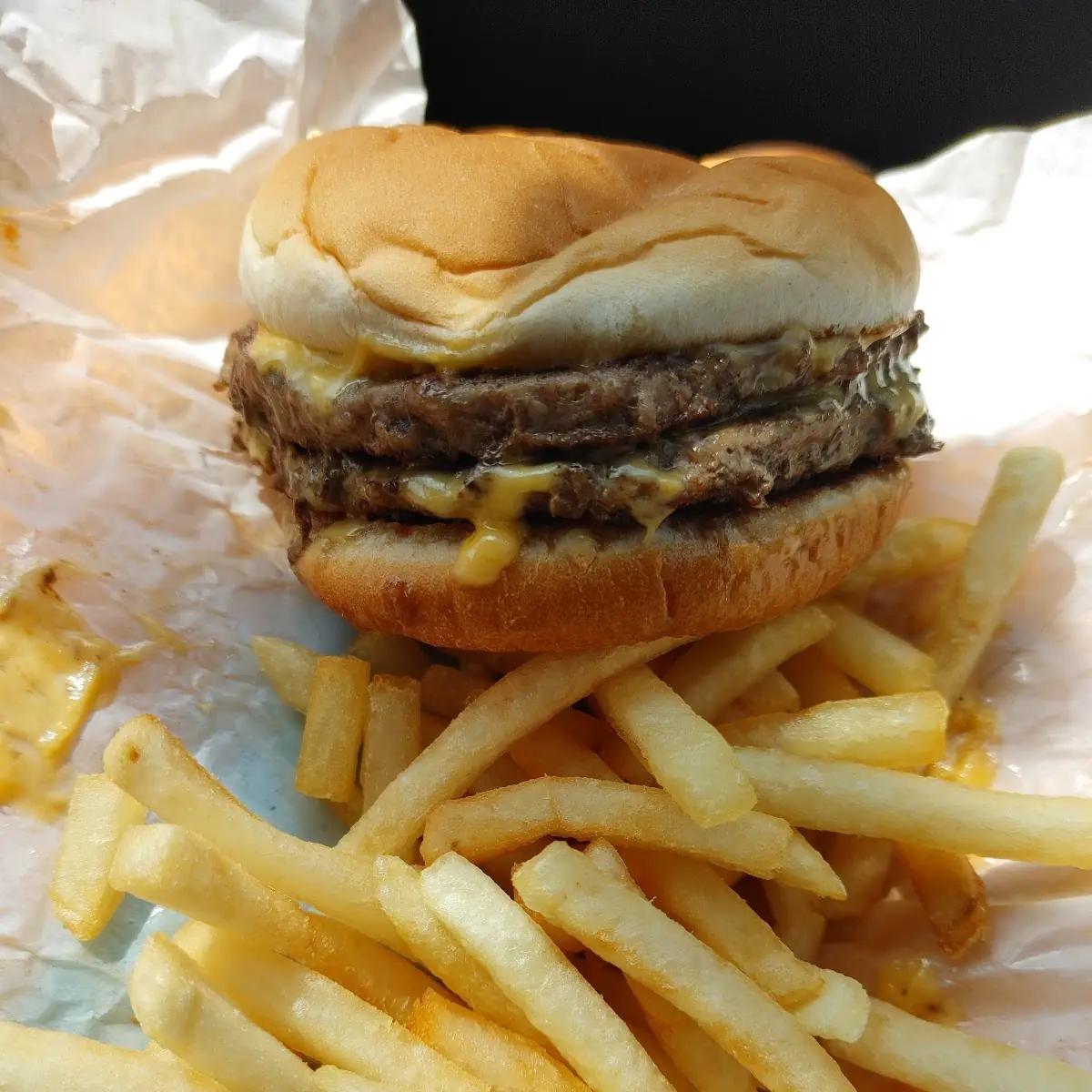 Double Cheeseburger and Fries