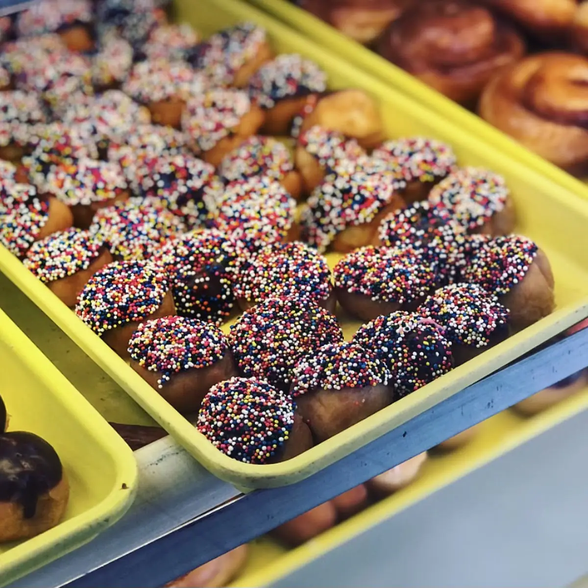Doughnut