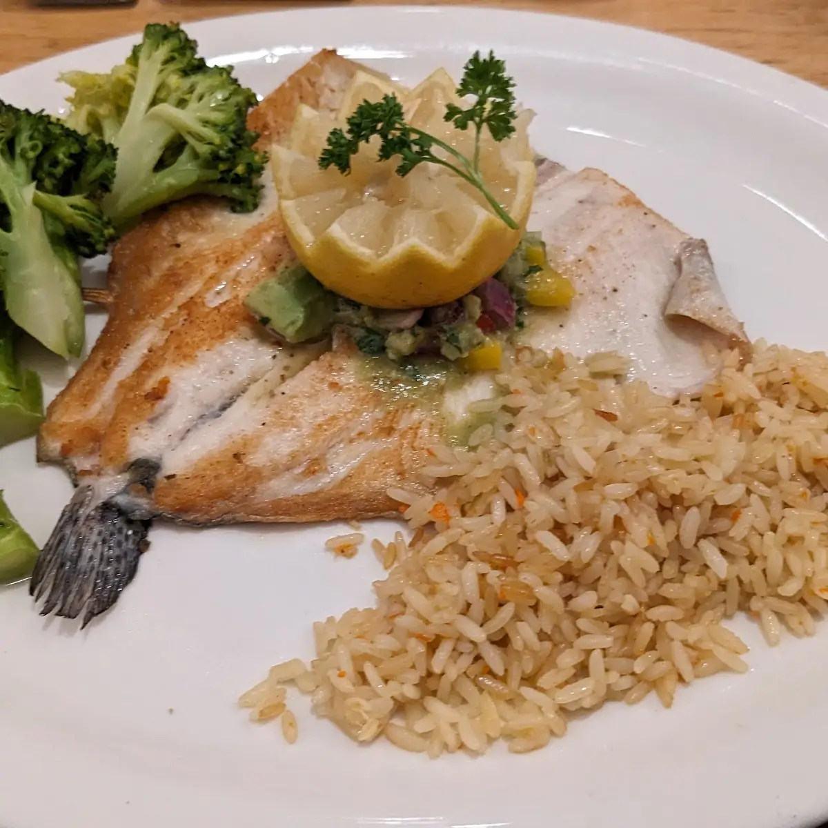 Rainbow Trout