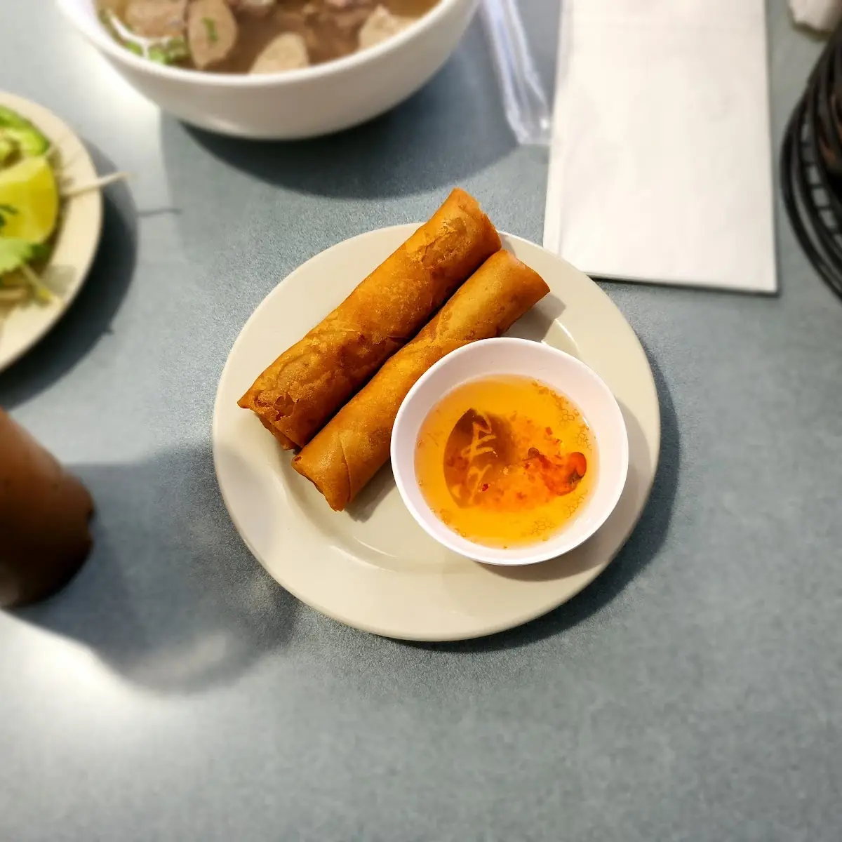 Fried Spring Rolls