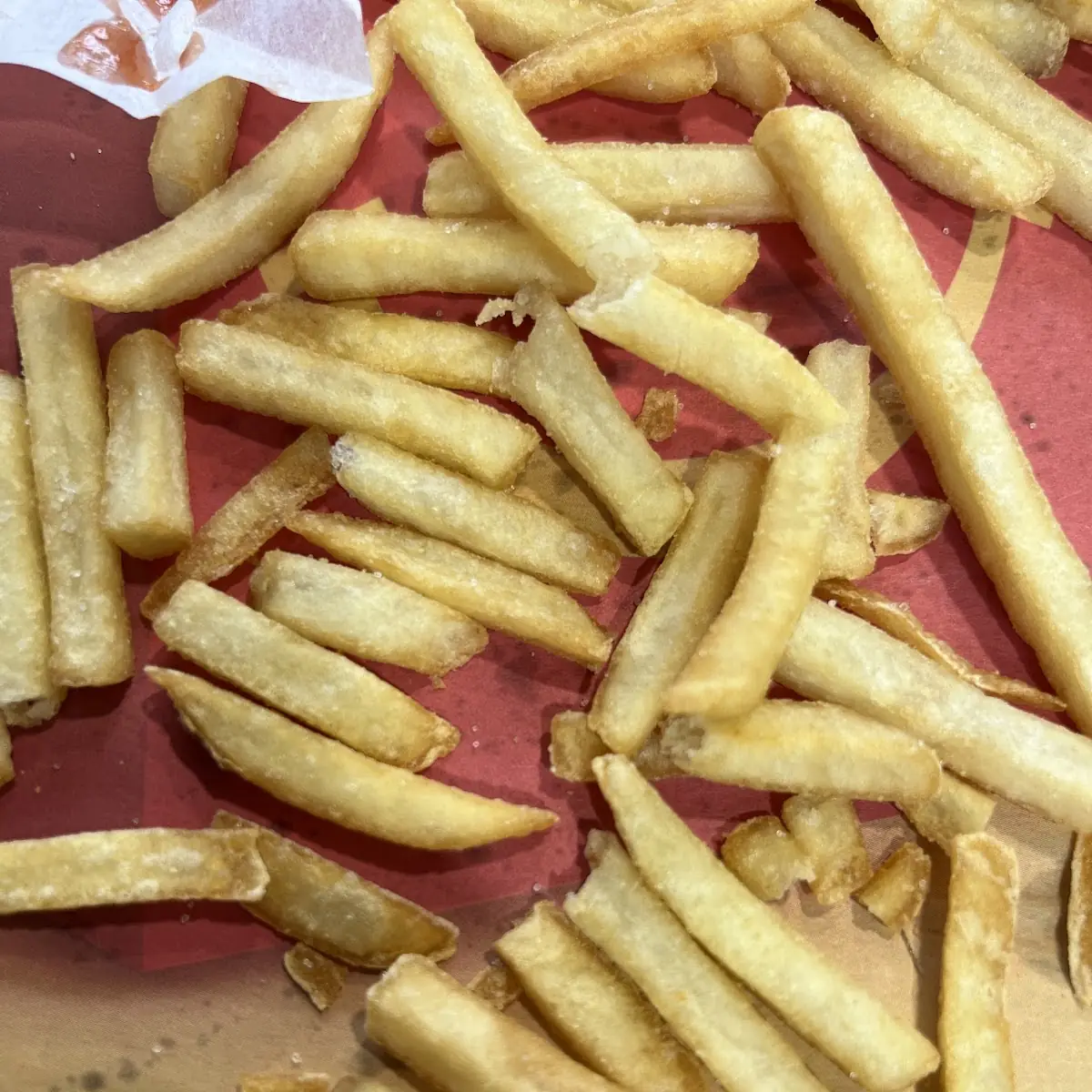 World Famous Fries