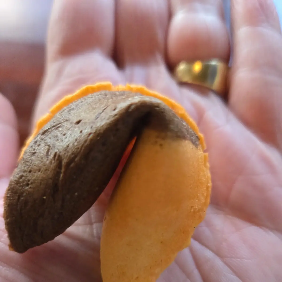 Fortune Cookie