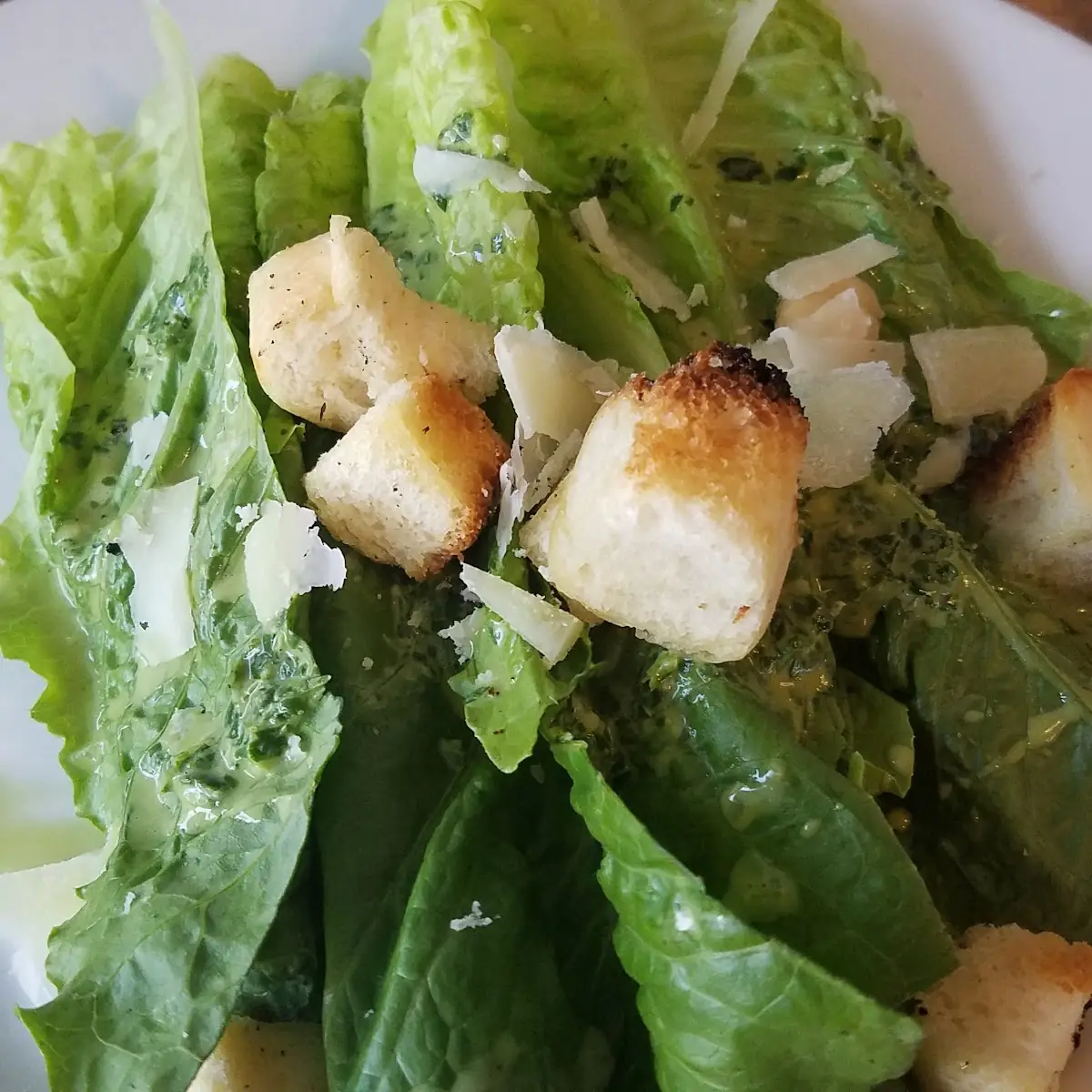 Grilled Caesar Salad