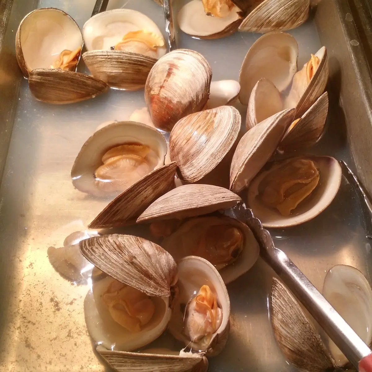 Baby Clams