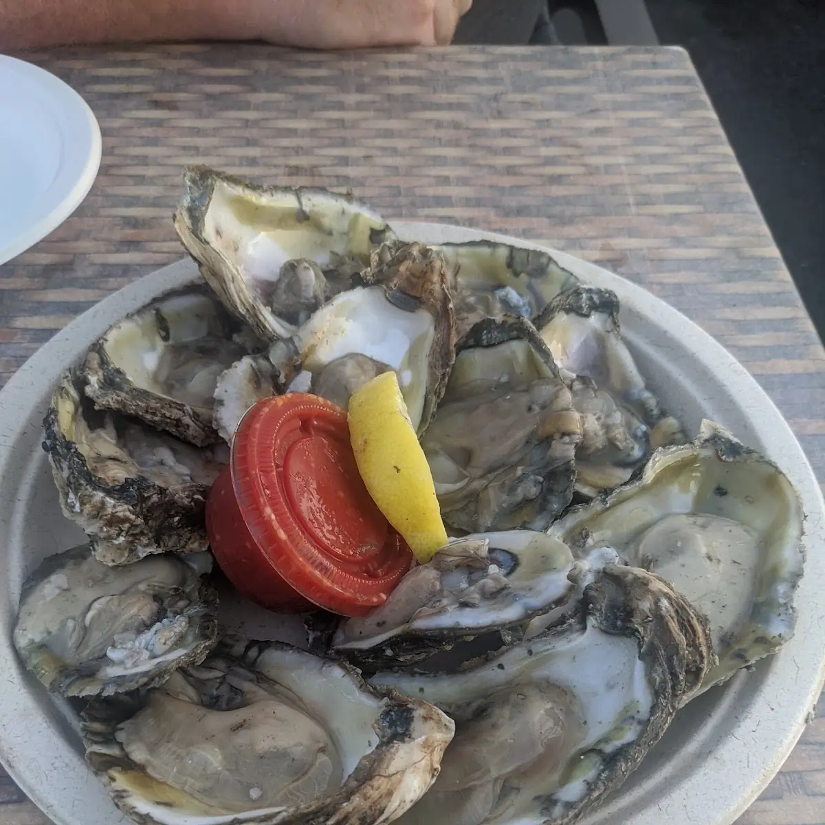 Oysters on the Half Shell