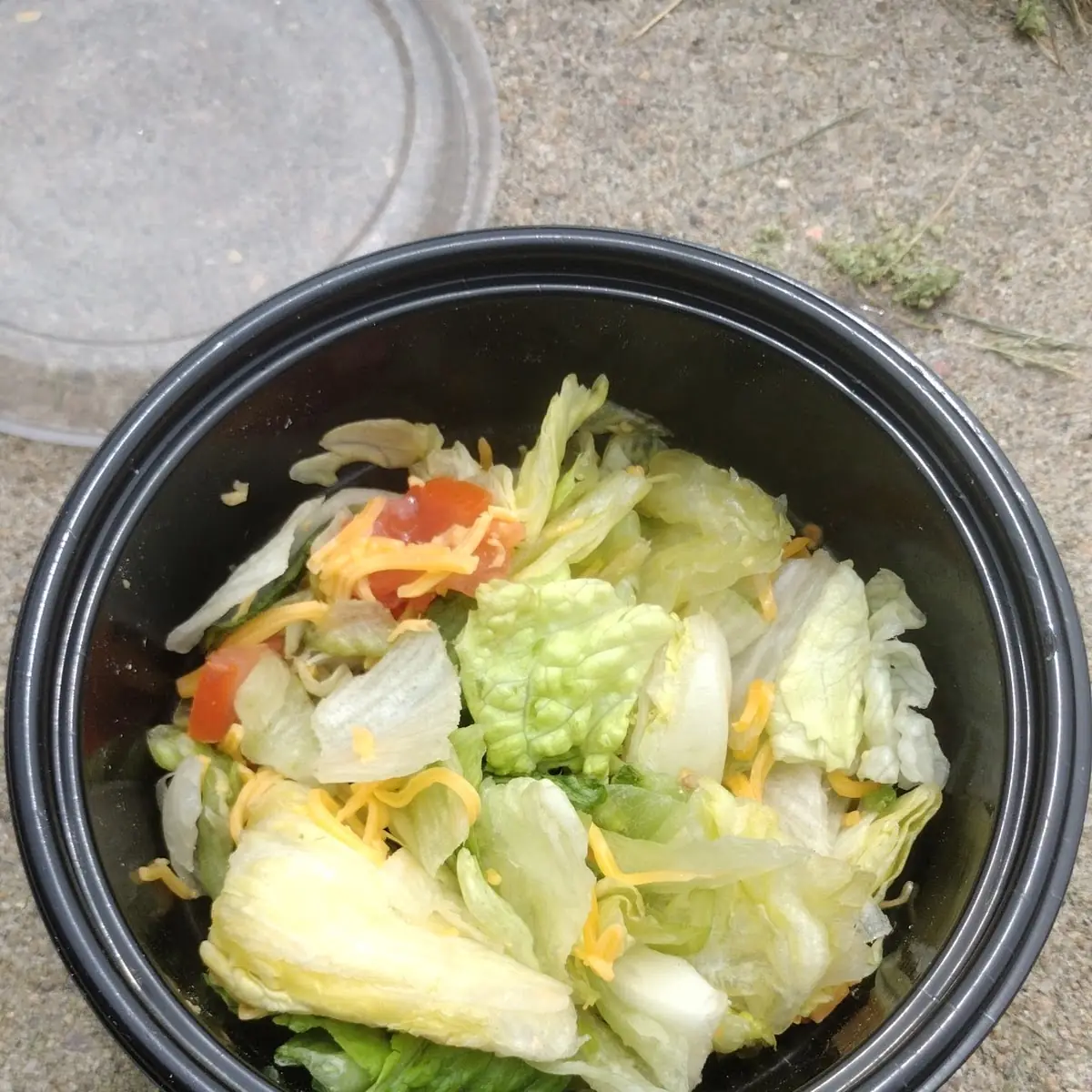 Baek-Kimchi