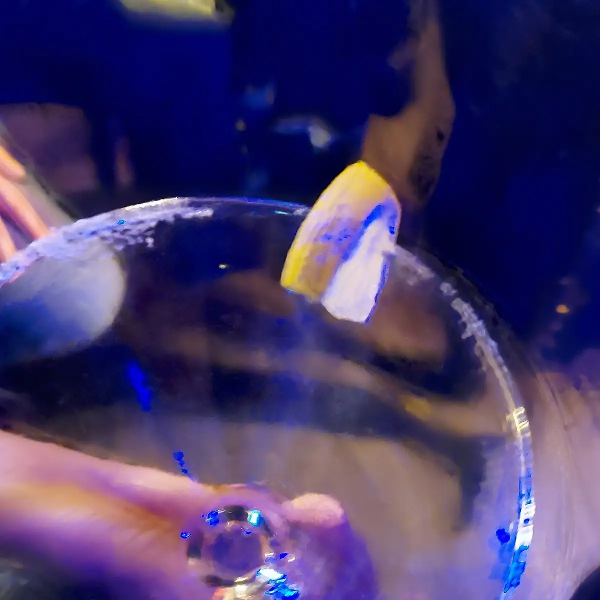 An Empty Lemon Drop Martini