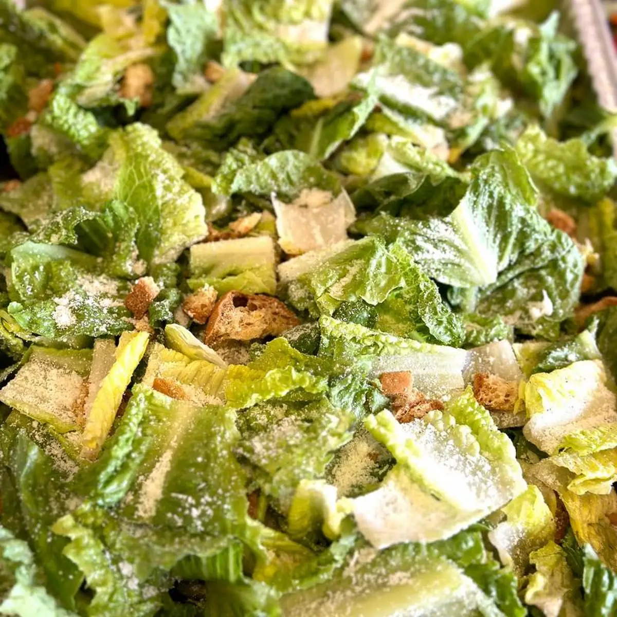 Caesar Salad